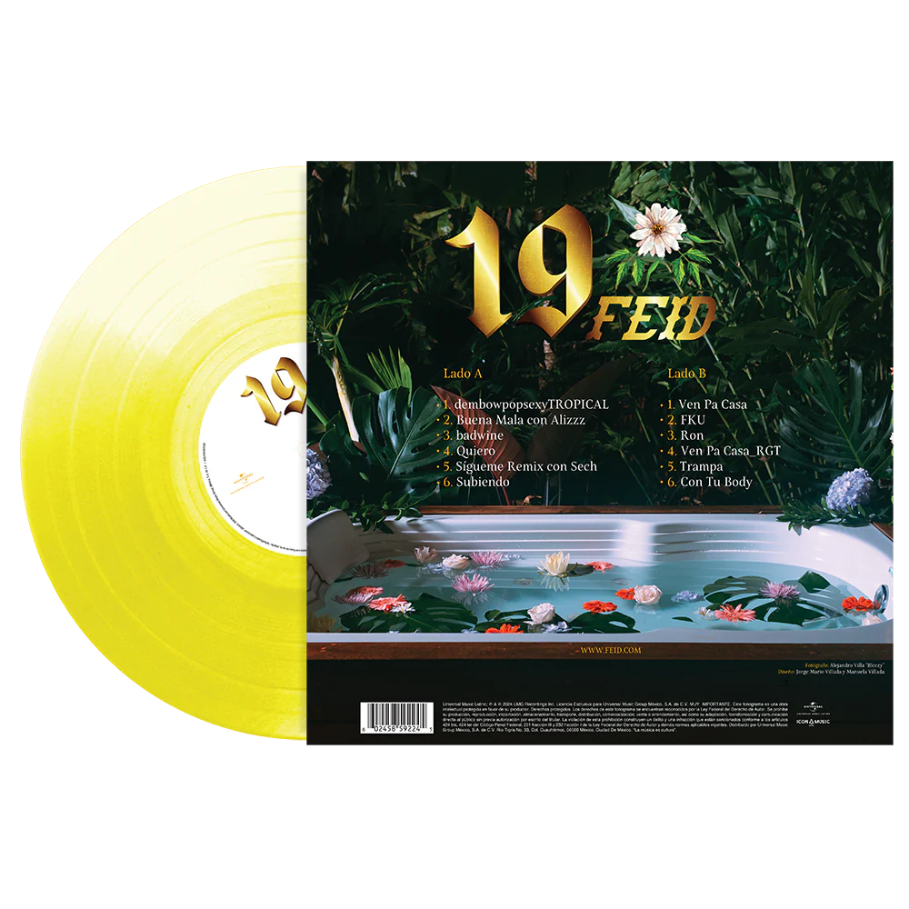 19 1LP Vinyl - Image 3